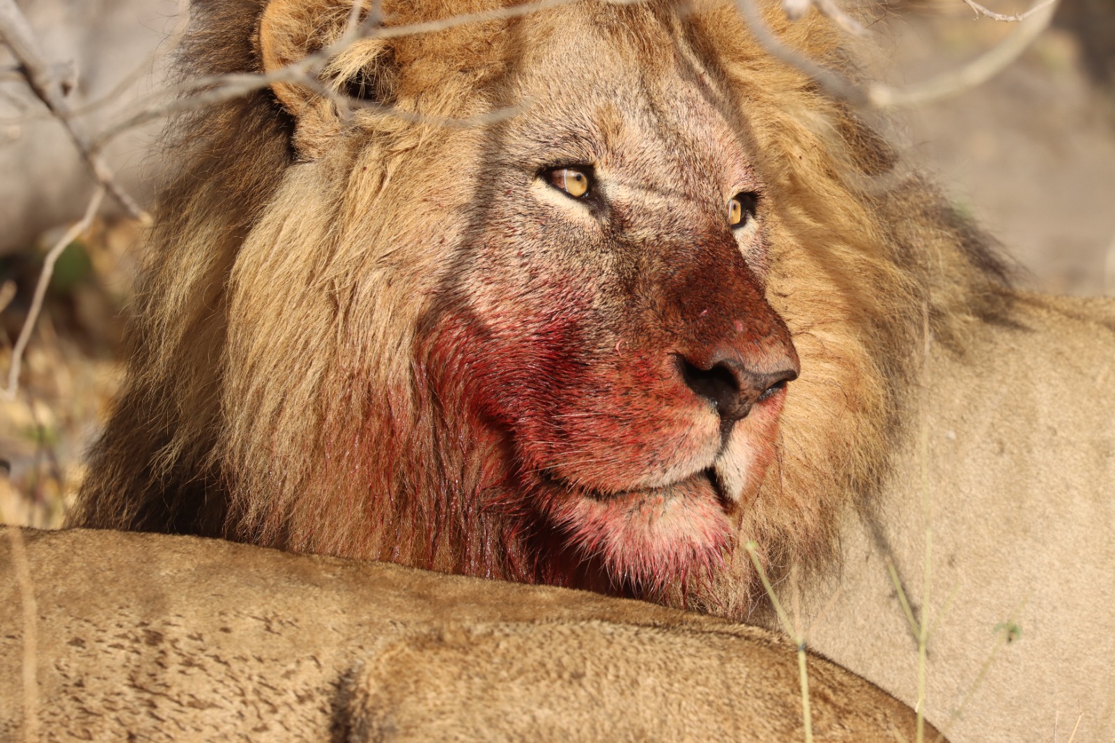 WhatsApp Image 2025-10-24 at 7.11.46 PM